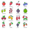 Berries Sign Color Thin Line Icons Set. Vector Royalty Free Stock Photo