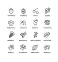 Berries Signs Thin Line Icons Set. Vector Royalty Free Stock Photo