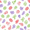 Berries Signs Thin Line Seamless Pattern Background. Vector Royalty Free Stock Photo