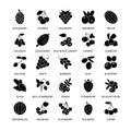 Berries silhouette vector icons set business analysis design elements berries fresh healthy products vegetables fruits Royalty Free Stock Photo