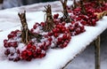 Berries on snow Royalty Free Stock Photo