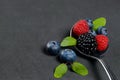 Berries still life Royalty Free Stock Photo