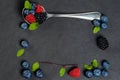 Berries still life Royalty Free Stock Photo