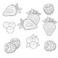 Berries. Strawberries, raspberries and blueberries.Sketch.Coloring book antistress for children and adults.