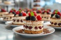 Berries Tiramisu Dessert with Cinnamon and Coffee. Garnished with Raspberry and Mint Royalty Free Stock Photo