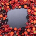 Berries upstairs closeup of colorful assorted mix Royalty Free Stock Photo