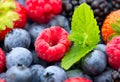 Berries. Various colorful berries background. Mint leaves, Strawberry, Raspberry, Blackberry, Blueberry close-up backdrop