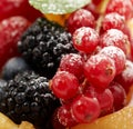 Berry Royalty Free Stock Photo