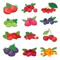 Berry berrying mix of strawberry blueberry raspberry blackberry and red currant illustration berrylike set isolated on