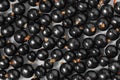 Berry black currant closeup Royalty Free Stock Photo