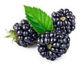 Berry blackberry with green leaf fresh fruit