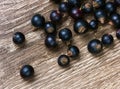 Berry of blackcurrant