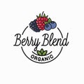 Berry blend logo. Round linear logo of blend