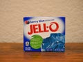 Berry Blue Jell O dessert