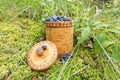 Berry Blueberries in wooden box of tuesok against forest background