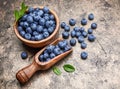 Berry blueberry in wooden dish with scoop Royalty Free Stock Photo