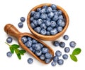 Berry blueberry in wooden dish with scoop Royalty Free Stock Photo