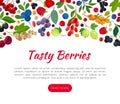 Berry Branch Banner Design with Sweet Tasty Garden Crop Vector Template