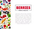 Berry Branch Banner Design with Sweet Tasty Garden Crop Vector Template