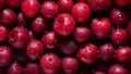 Berry Burst Gradient Blurs Rich Plum to Vibrant Raspberry