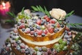 Berry cake with Powedered Sugar Royalty Free Stock Photo