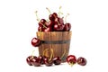 Berry Cherry in wooden round barrel pot.