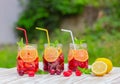 Berry citrus summer refreshing drink