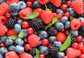 Berry closed up food background Royalty Free Stock Photo