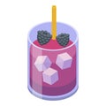 Berry cocktail icon, isometric style