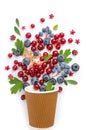 Composition - a berry fountain from a brown cup Royalty Free Stock Photo