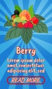 Berry concept banner, comics isometric style Royalty Free Stock Photo