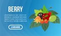 Berry concept banner, isometric style Royalty Free Stock Photo