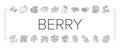 Berry Delicious And Vitamin Food Icons Set Vector