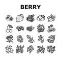 Berry Delicious And Vitamin Food Icons Set Vector