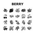 Berry Delicious And Vitamin Food Icons Set Vector