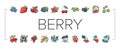 Berry Delicious And Vitamin Food Icons Set Vector