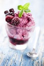 Berry dessert Royalty Free Stock Photo