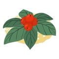 Berry dessert icon isometric vector. Ripe canadian bunchberry and fruit cookie