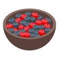 Berry diet icon isometric vector. Ayurvedic food