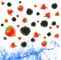 Berry falling in juice. Isolation. Royalty Free Stock Photo