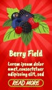 Berry field concept banner, comics isometric style Royalty Free Stock Photo