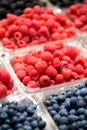 Berry Fruit Royalty Free Stock Photo