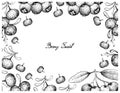 Hand Drawn Frame of Blue Lilly Pilly and Black Goji Royalty Free Stock Photo