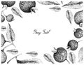 Berry Fruit, Illustration Frame of Hand Drawn Sketch of Fresh Grumichama Cherries or Eugenia Brasiliensis and Guabiju or