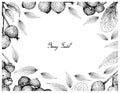 Berry Fruit, Illustration Frame of Hand Drawn Sketch of Jostaberries and Magenta Lilly Pilly, Magenta Cherry or Syzygium Royalty Free Stock Photo