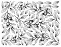 Hand Drawn Background of Cambui Roxo Fruits Royalty Free Stock Photo