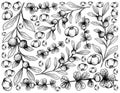 Hand Drawn of Canthium Berberidifolium and Cambui Roxo Fruits Royalty Free Stock Photo