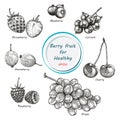 Berry fruit vector set black and white