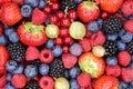 Berry fruits berries collection strawberries, blueberries raspbe Royalty Free Stock Photo