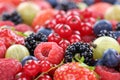 Berry fruits berries collection strawberries, blueberries raspberries copyspace Royalty Free Stock Photo